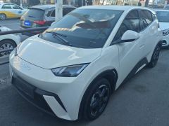 BYD Seagull 305km Free Version - ფოტო 1