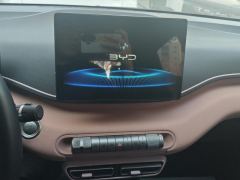 BYD Seagull 305km Free Version - ფოტო 17