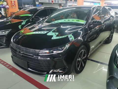 2023 BYD Destroyer 05 DM-i Champion Edition 1.5L 120km Luxury Edition - car from China