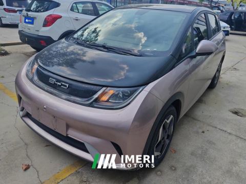 2021 BYD Dolphin 405km Stylish Edition - car from China