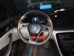 BYD Qin PLUS DM-i 1.5L 55km Pilot Glory Edition - фото 18