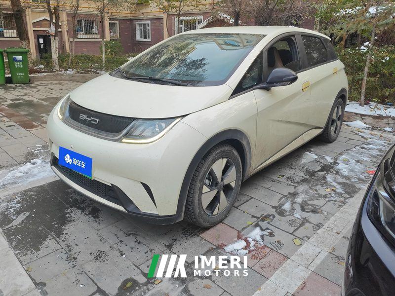 BYD Dolphin 420km Free Version - ავტომობილი ჩინეთიდან