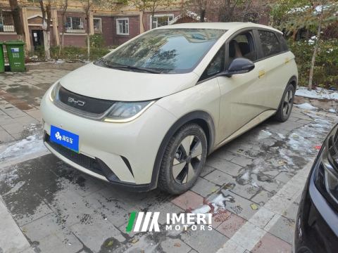 2023 BYD Dolphin 420km Free Version - ავტომობილი ჩინეთიდან