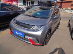BYD Dolphin 405km Free Version - ფოტო 1