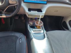 BYD Dolphin 405km Free Version - ფოტო 19