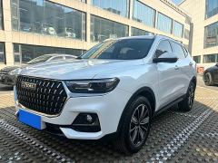 Haval H6 National Trend Edition 1.5T Automatic Champion Version - photo 1