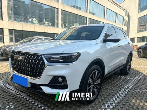 2024 Haval H6 National Trend Edition 1.5T Automatic Champion Version - car from China