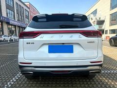 Haval H6 National Trend Edition 1.5T Automatic Champion Version - photo 5