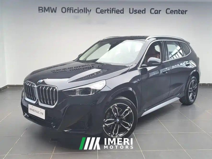BMW X1 xDrive25Li X Design Package - car from China