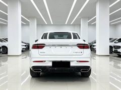 Geely Xingrui 2.0T Diesel Premium - ფოტო 8