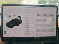 Tesla Model 3 Standard Range Edition - photo 20