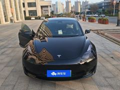 Tesla Model 3 Standard Range Edition - photo 3