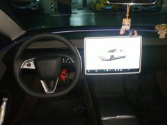 Tesla Model 3 606km Rear-Wheel Drive Edition - ფოტო 19