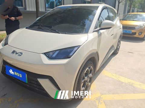2024 BYD Seagull Honor Edition 305km Free Version - ავტომობილი ჩინეთიდან