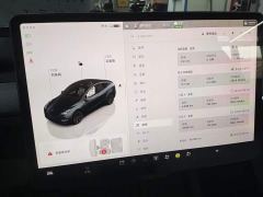 Tesla Model Y Rear-Wheel Drive - ფოტო 11
