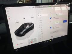 Tesla Model Y Rear-Wheel Drive - ფოტო 12