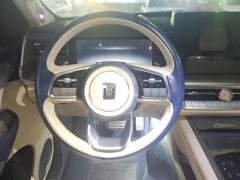 Tank 500 3.0T Business Edition 5 - photo 18