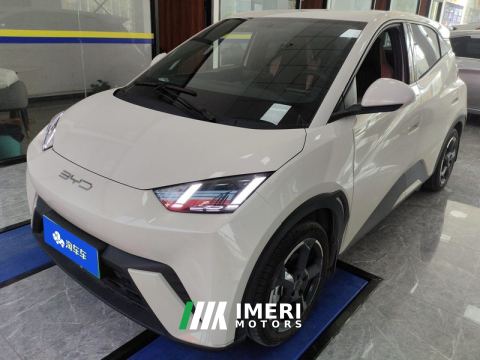 2023 BYD Seagull 305km Free Version - car from China