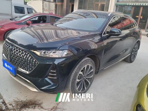 2021 Great Wall Mocha fuel Weipai Mocha Fuel Oil 2.0T Two-Wheel Drive Special Edition