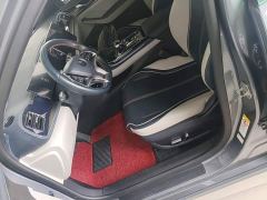 BYD Qin PLUS Champion Edition EV 510KM Excellence - photo 14