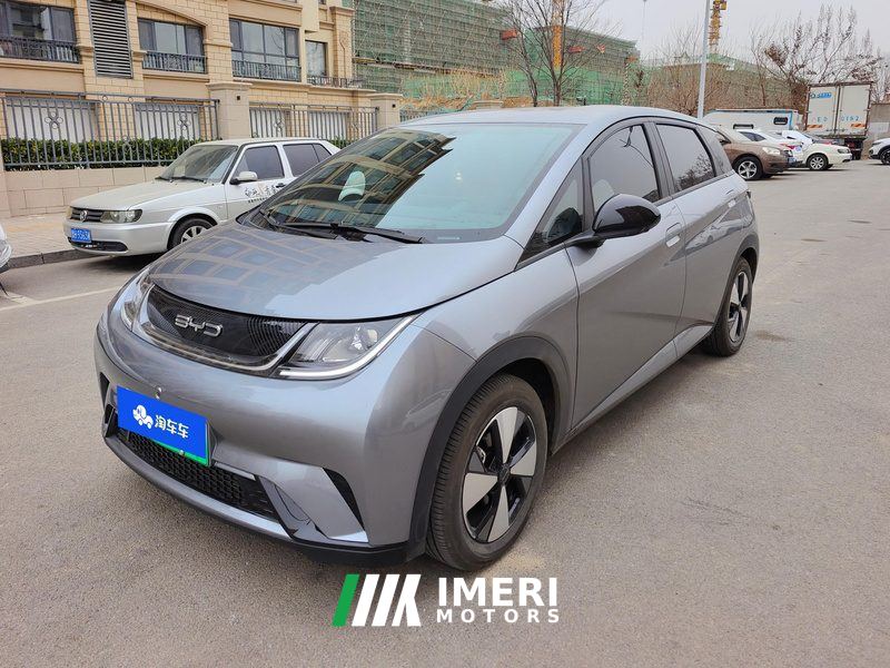 BYD Dolphin 420km Free Version - ავტომობილი ჩინეთიდან