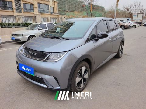 2023 BYD Dolphin 420km Free Version - ავტომობილი ჩინეთიდან
