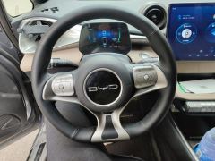 BYD Dolphin 420km Free Version - ფოტო 12