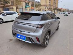 BYD Dolphin 420km Free Version - ფოტო 2
