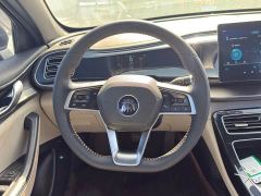 BYD Qin Plus DM-i 120KM Luxury - photo 7
