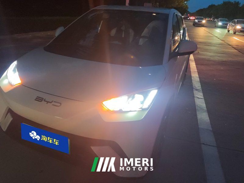 BYD Seagull 305km Free Version