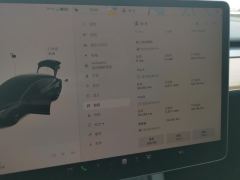 Tesla Model 3 556km Rear-Wheel Drive Edition - ფოტო 14