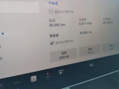 Tesla Model 3 556km Rear-Wheel Drive Edition - ფოტო 15