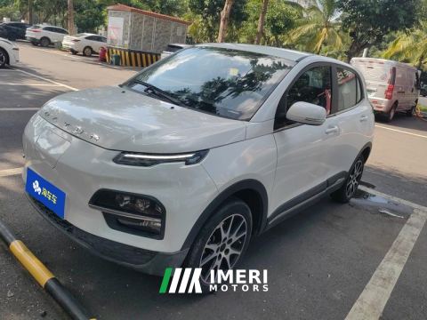 2022 Dayun Yuehu 300km 2WD Edition 30.66kWh
