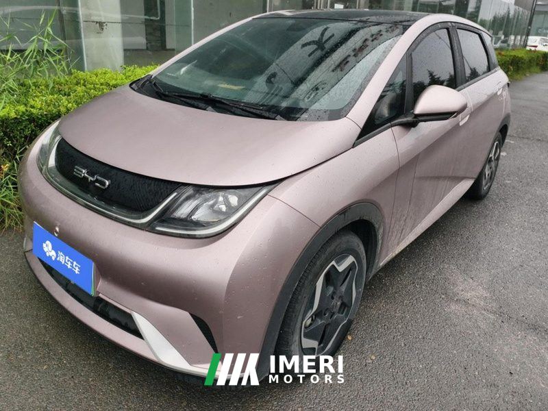 BYD Dolphin 405km Stylish Edition - ავტომობილი ჩინეთიდან
