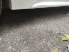 Toyota Levin Dual-Engine 1.8L Leading Edition - ფოტო 10