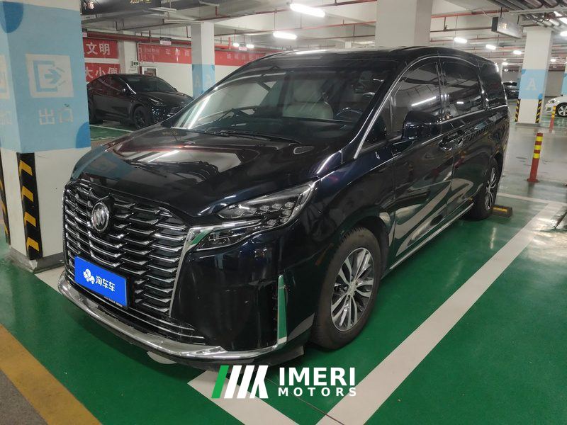 Buick GL8 ES Luxury Edition 2.0T Comfort Edition 7-seater