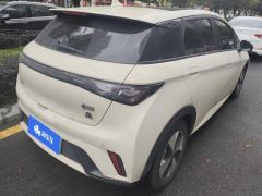 BYD Dolphin 420km Stylish Edition - ფოტო 2