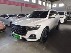 Haval H6 National Trend Edition 1.5T Automatic Urban Version - фото 1