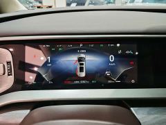 Denza D9 DM-i 1050 Premium - ფოტო 10