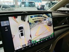 Denza D9 DM-i 1050 Premium - ფოტო 12
