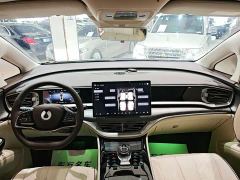 Denza D9 DM-i 1050 Premium - ფოტო 13
