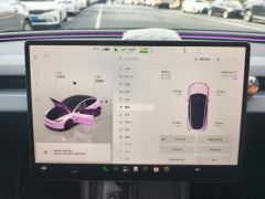 Tesla Model 3 606km Rear-Wheel Drive Edition - ფოტო 20