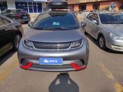 BYD Dolphin 405km Free Version - ფოტო 3
