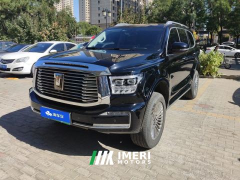 2024 Tank 500 New Energy 2.0T Hi4-T 37.1kWh - car from China