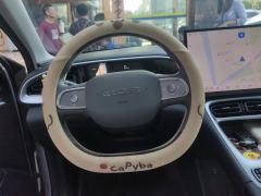 Geely Star Wish 310km Edition - ფოტო 18