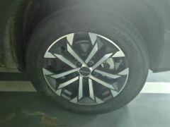 Haval Great Wall Big Dog Great Wall Dog 1.5T 2WD Edge Pastoral Edition - photo 6
