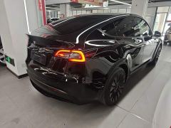 Tesla Model Y Rear-Wheel Drive - ფოტო 6