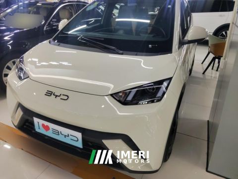 2025 BYD Seagull 305km Vitality Edition