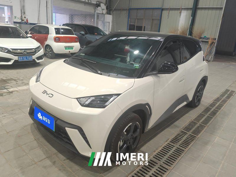 BYD Seagull Honor Edition 405km Flying Edition - ავტომობილი ჩინეთიდან