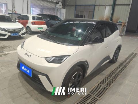2024 BYD Seagull Honor Edition 405km Flying Edition - car from China